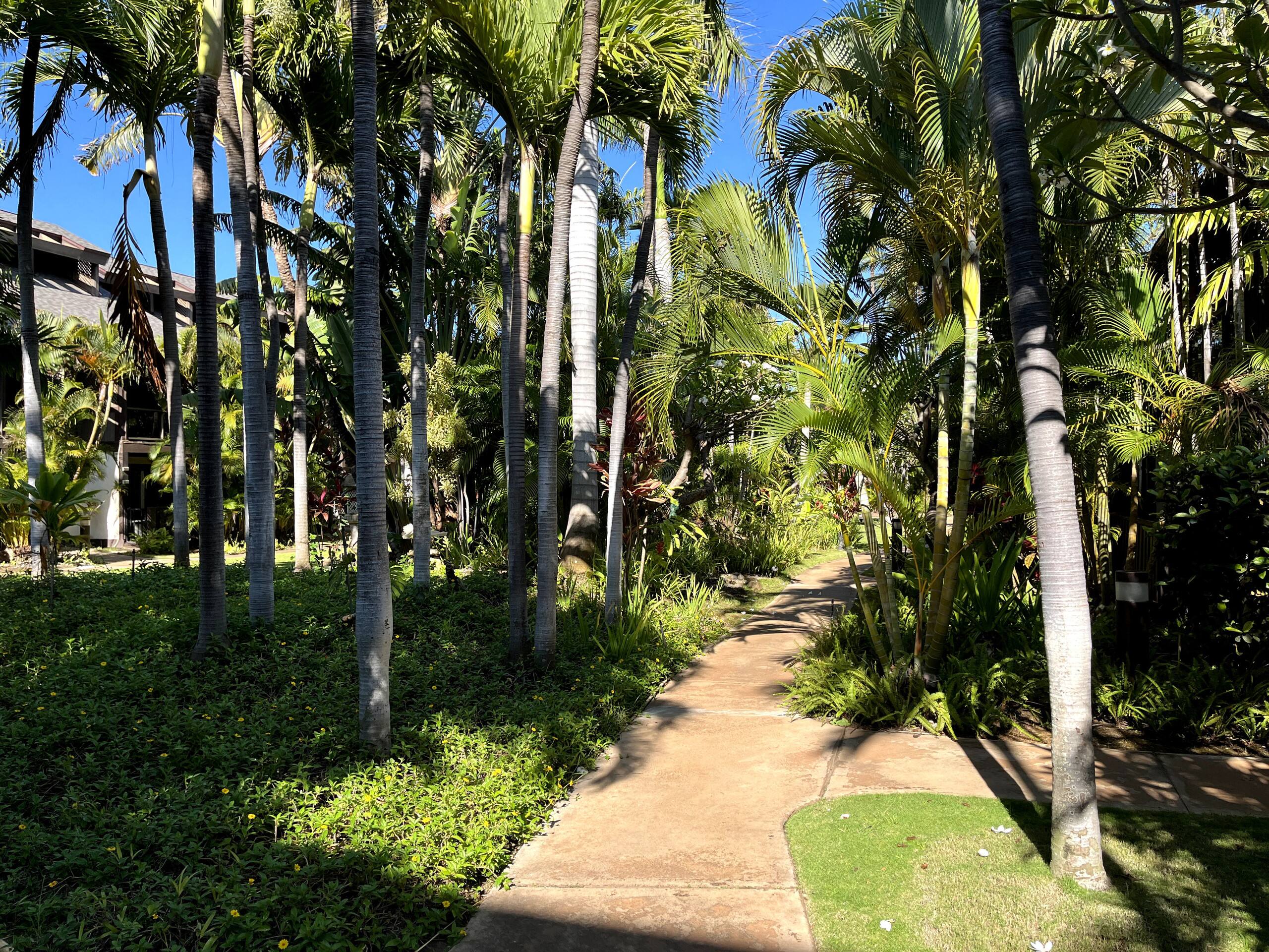 Condo in Kihei · ★4.94 · 1 bedroom · 2 beds · 1 private bath - Image 50