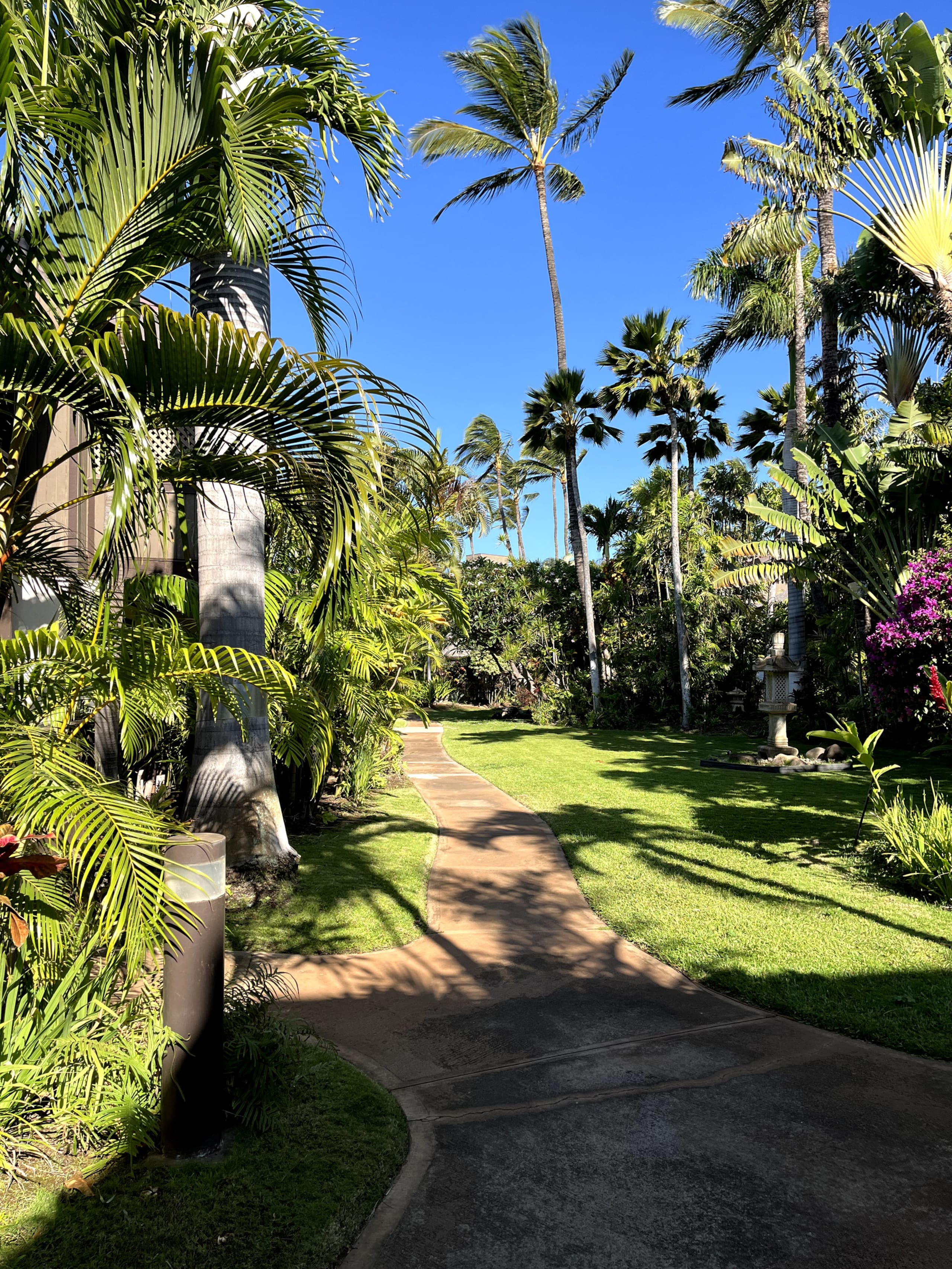 Condo in Kihei · ★4.94 · 1 bedroom · 2 beds · 1 private bath - Image 51