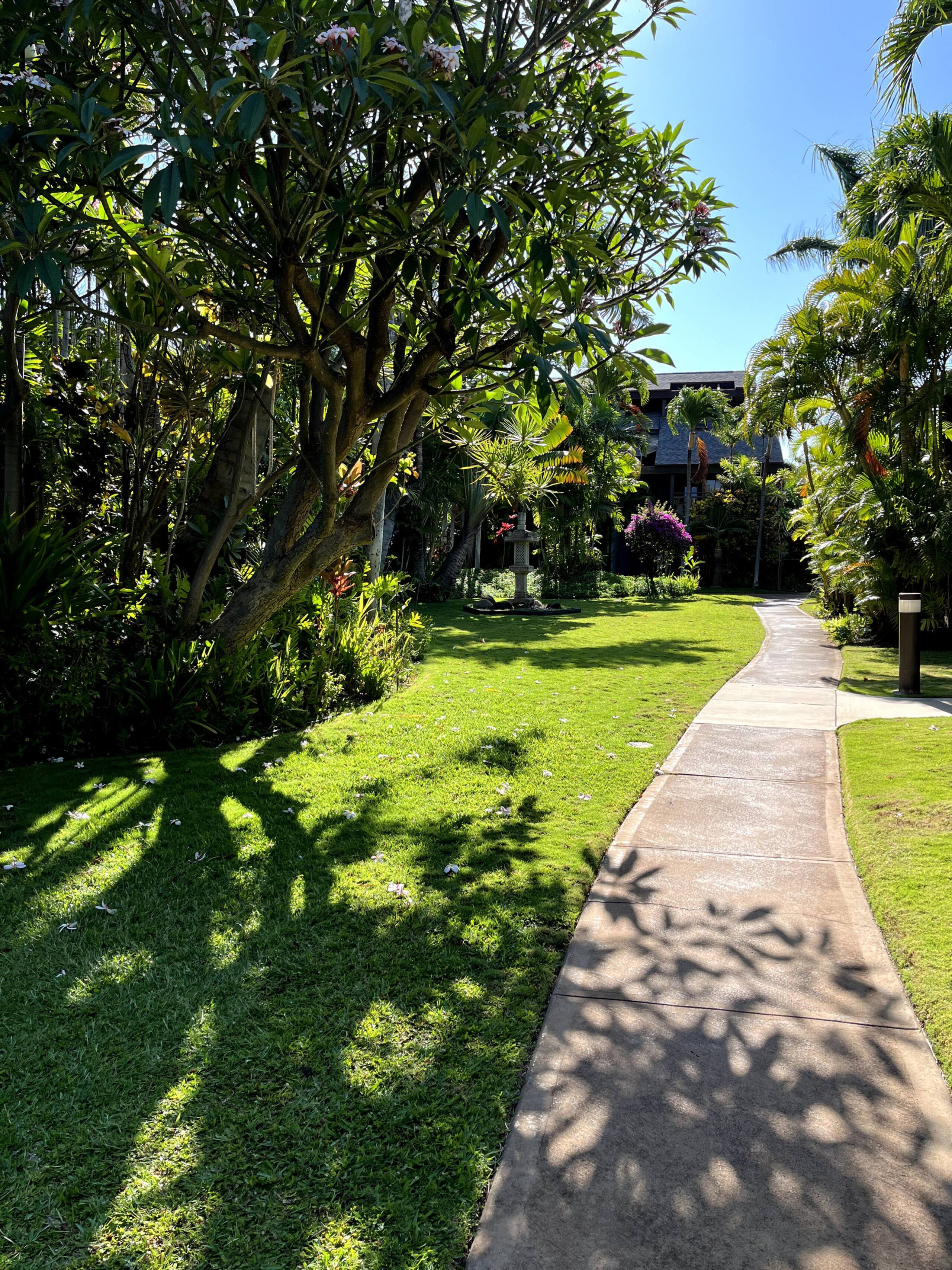 Condo in Kihei · ★4.94 · 1 bedroom · 2 beds · 1 private bath - Image 55