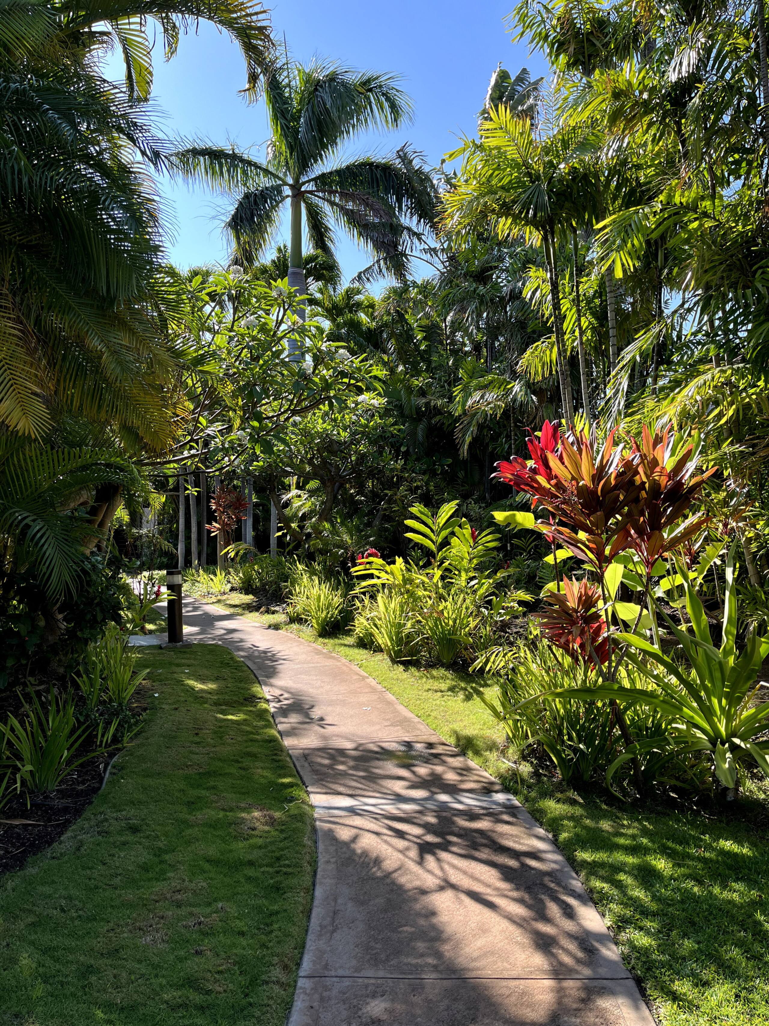 Condo in Kihei · ★4.94 · 1 bedroom · 2 beds · 1 private bath - Image 60