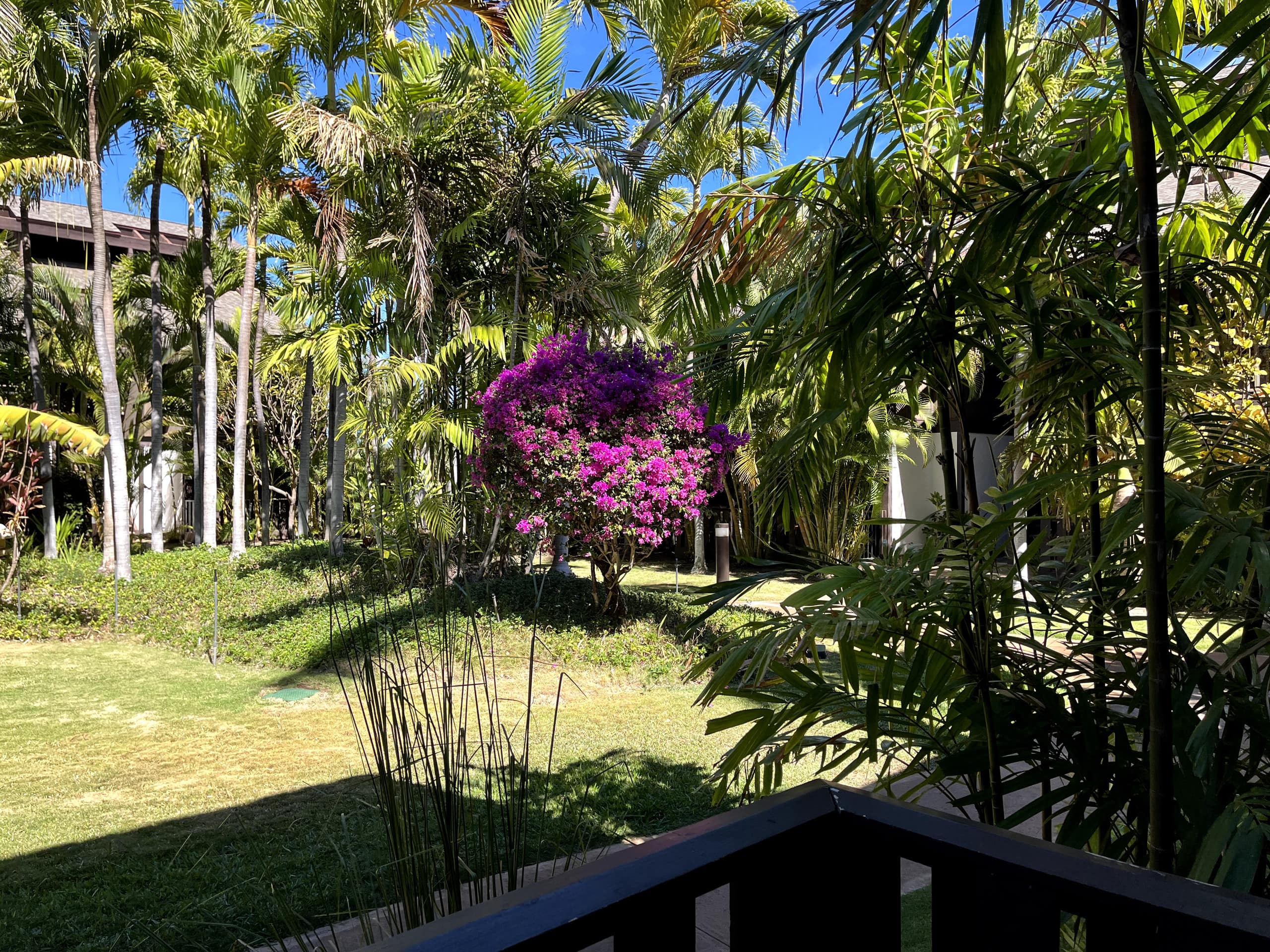 Condo in Kihei · ★4.94 · 1 bedroom · 2 beds · 1 private bath - Image 65