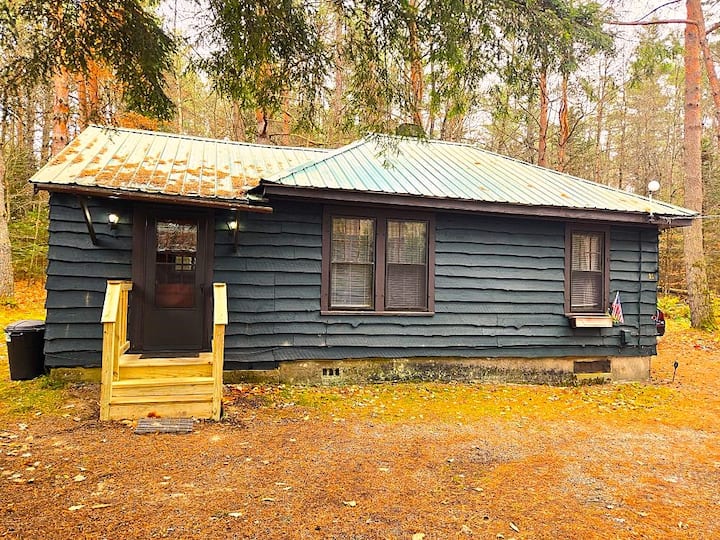 Lake Placid- Ray Brook- Saranac Lake Cabin #10 - Lake Placid, NY