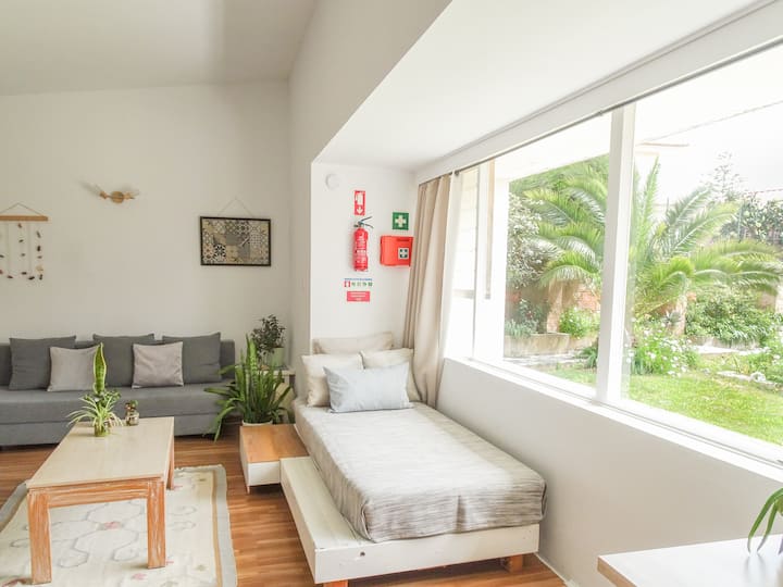 Просторна всекидневна в студио с два удобни дивана, които се превръщат в единични легла. Голям прозорец наводнява помещението с естествена светлина и оформя буйна гледка към градината. Вътрешната зеленина допринася за спокойната, свежа атмосфера - идеална за отдих или презареждане.