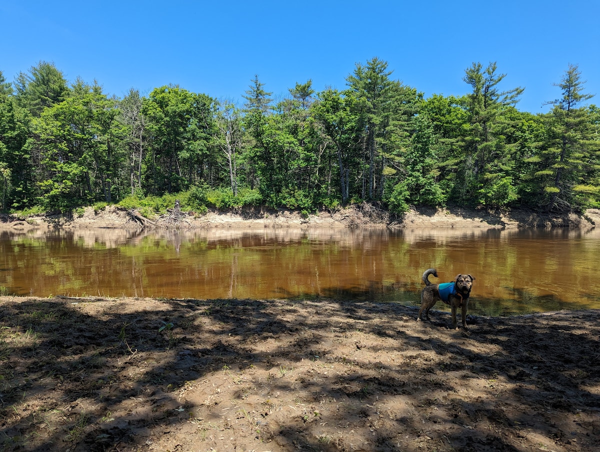 Dog Friendly Waterfront Cabin near White Mountains Cabins for Rent in
