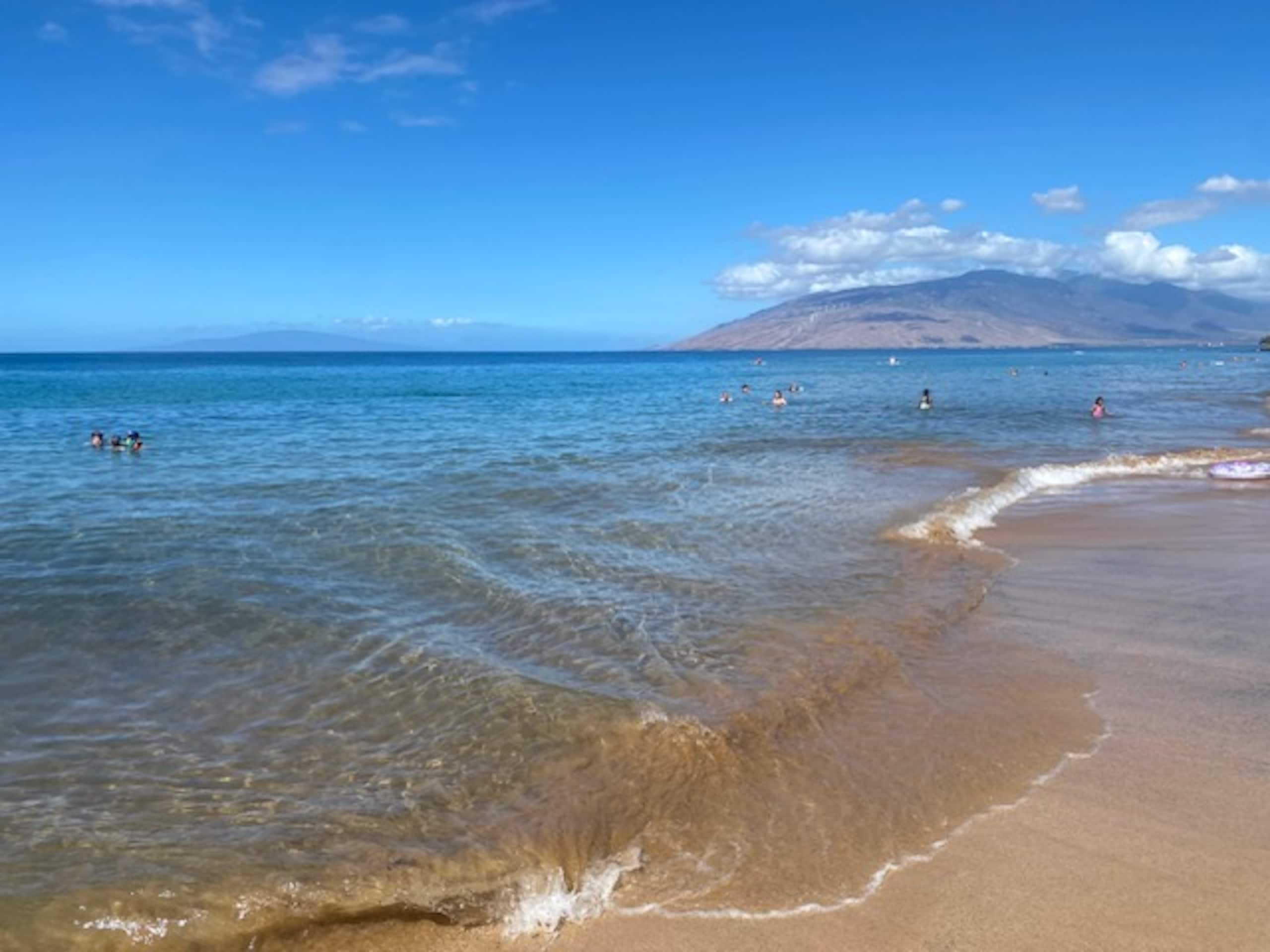 Condo in Kihei · ★4.96 · 2 bedrooms · 3 beds · 2 baths - Image 31