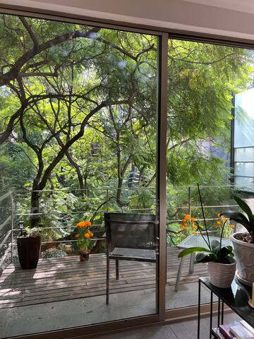 Next to Bosque de Chapultepec, exclusive. gallery image 5