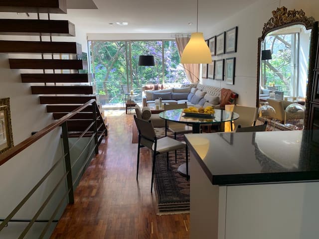 Next to Bosque de Chapultepec, exclusive.