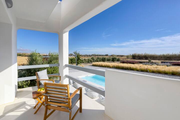 Villa Fryni, private pool & seaview by Naxos Dunes gallery image 2