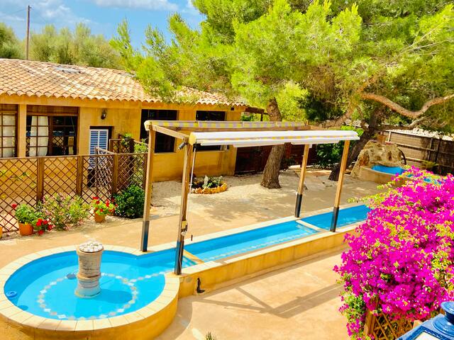 Remarkable Finca Sa Canova Agroturismo in Mallorca gallery image 5