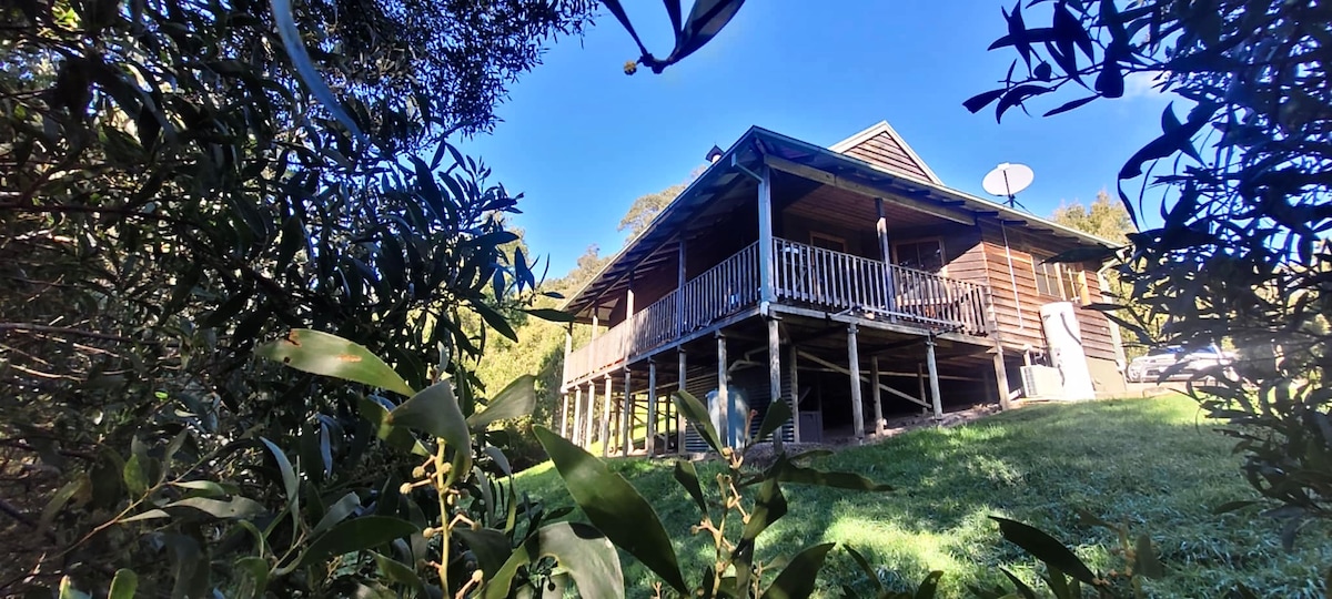 A wooden cottage is nestled among greenery, elevated on stilts with a wide covered balcony. The structure features multiple windows and a satellite dish on the roof, surrounded by lush foliage and blue skies, enhancing its natural setting.