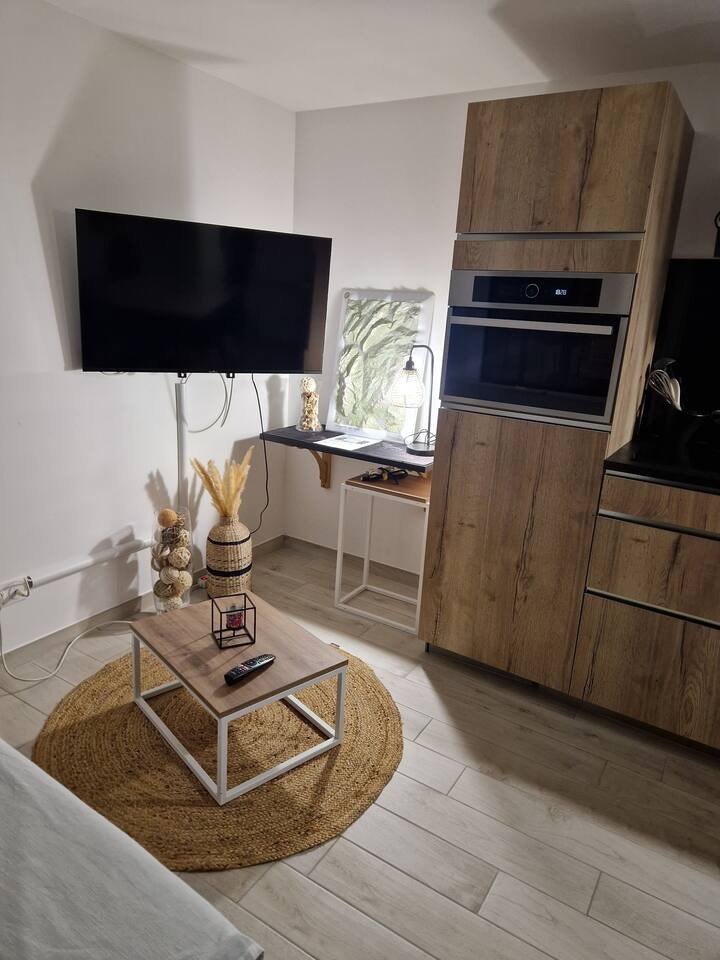 40m2 Aux Pieds Des Aravis - Haute-Savoie