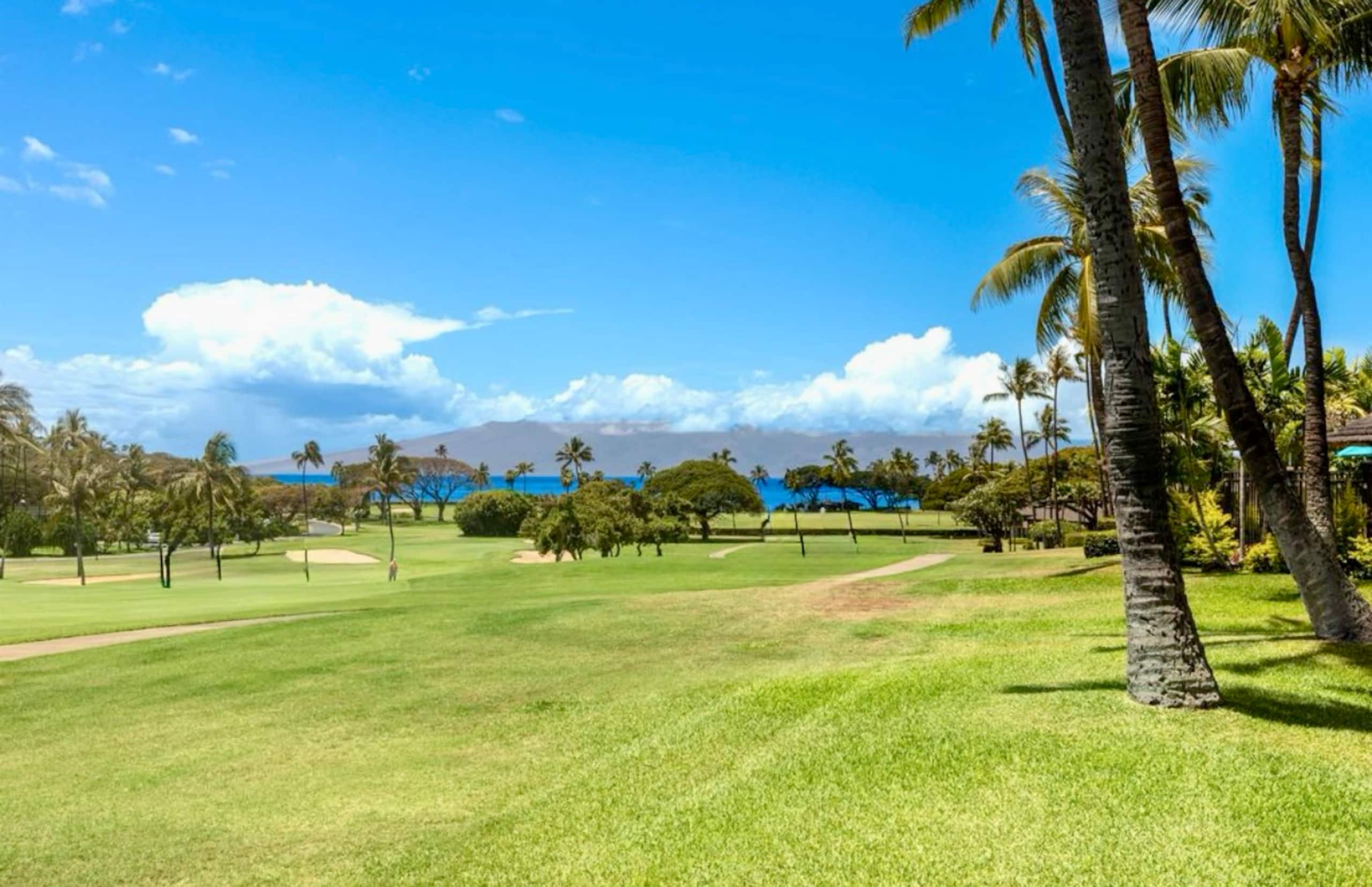 Condo in Lahaina · ★4.95 · Studio · 2 beds · 1 bath - Image 10