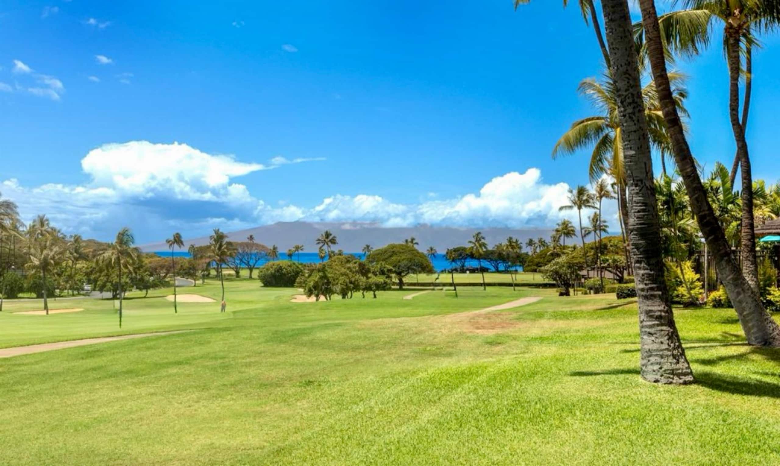 Condo in Lahaina · ★4.95 · Studio · 2 beds · 1 bath - Image 9