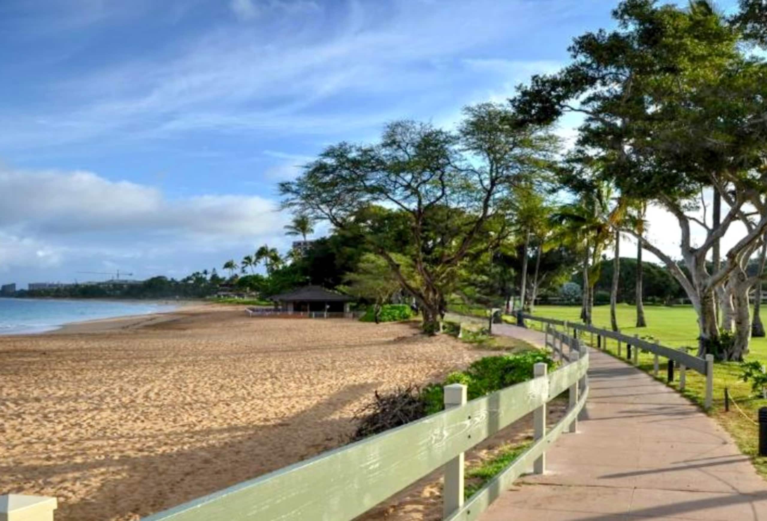 Condo in Lahaina · ★4.95 · Studio · 2 beds · 1 bath - Image 36