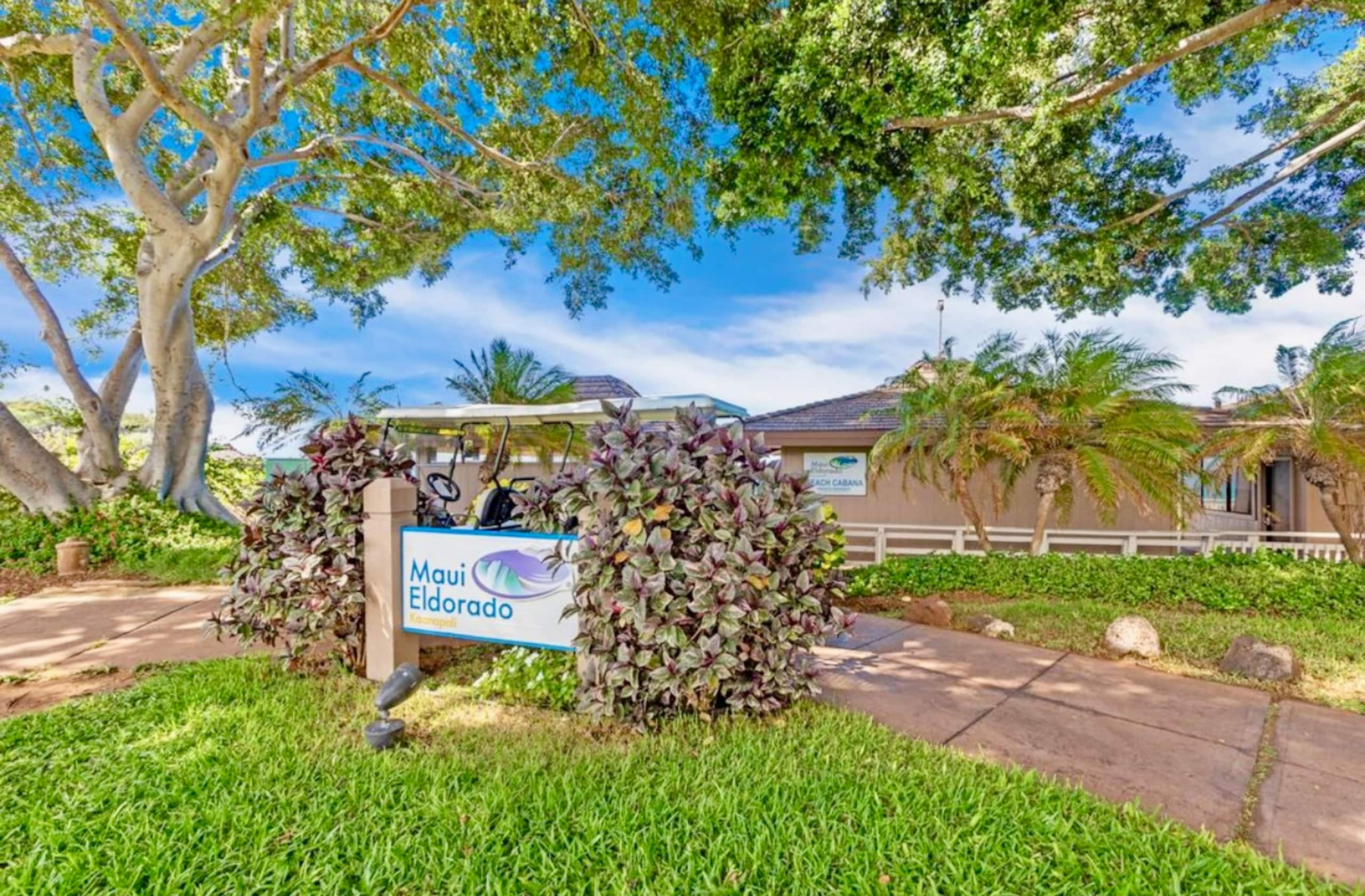 Condo in Lahaina · ★4.95 · Studio · 2 beds · 1 bath - Image 12