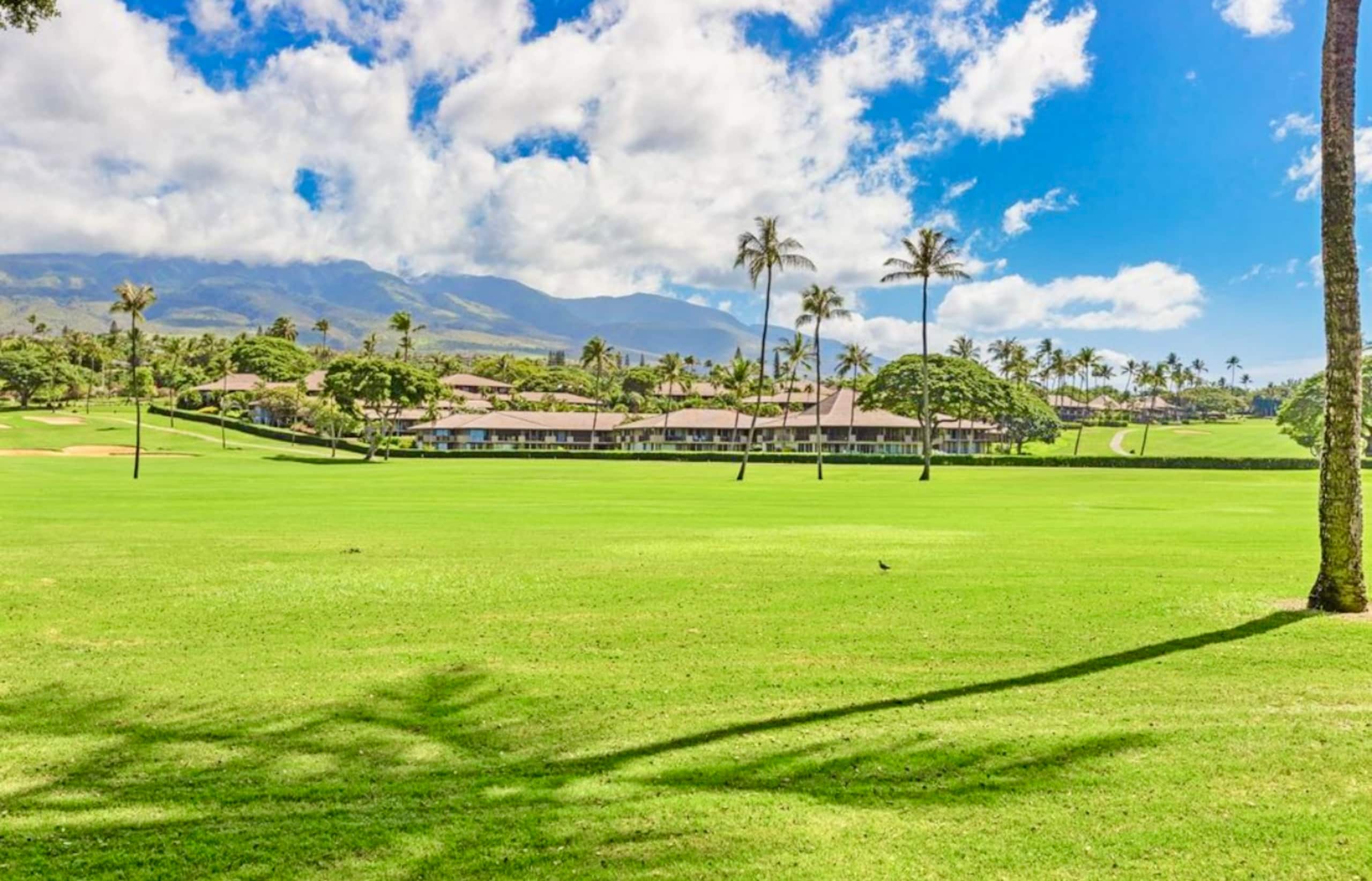 Condo in Lahaina · ★4.95 · Studio · 2 beds · 1 bath - Image 49