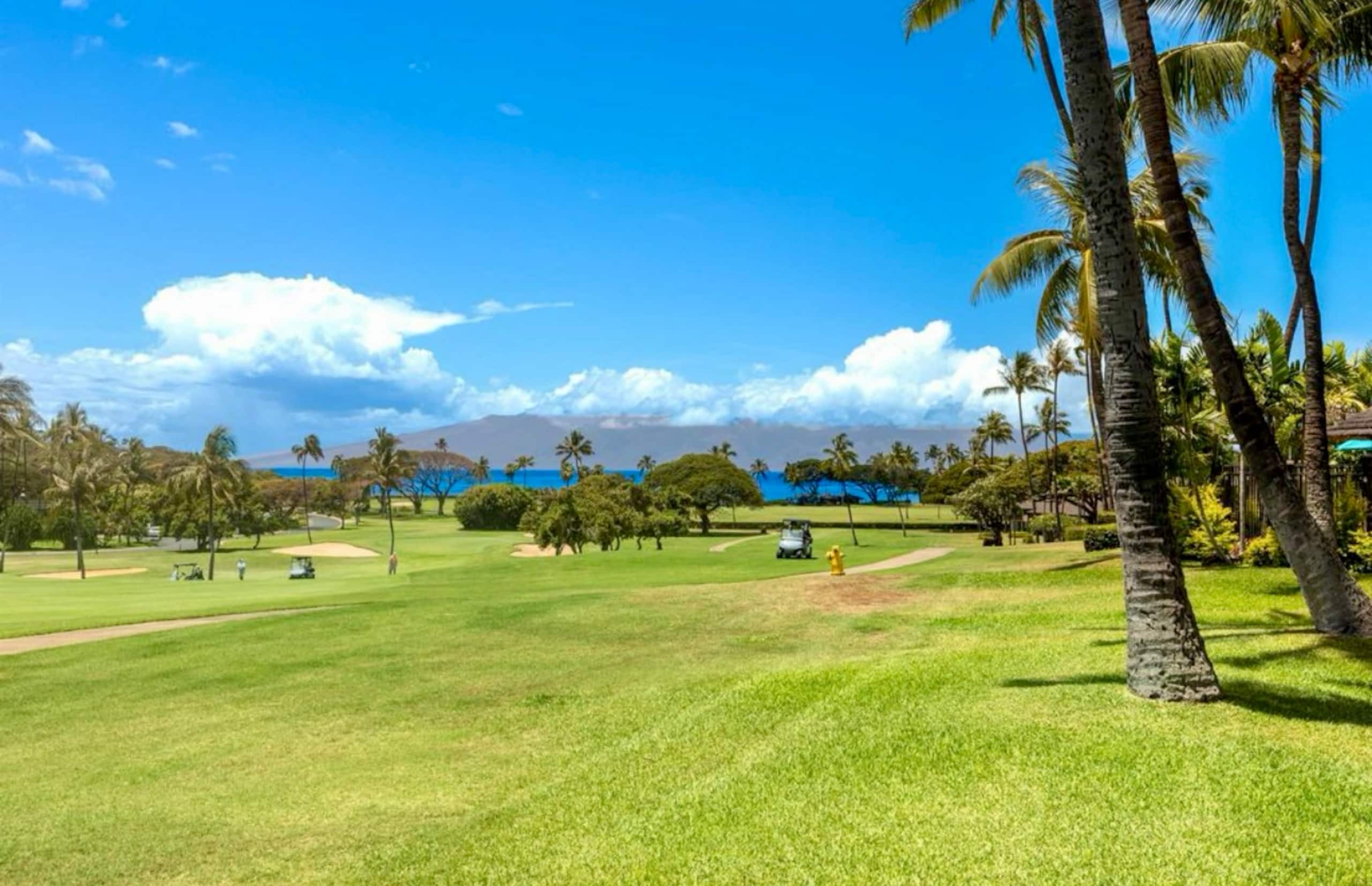 Condo in Lahaina · ★4.95 · Studio · 2 beds · 1 bath - Image 42