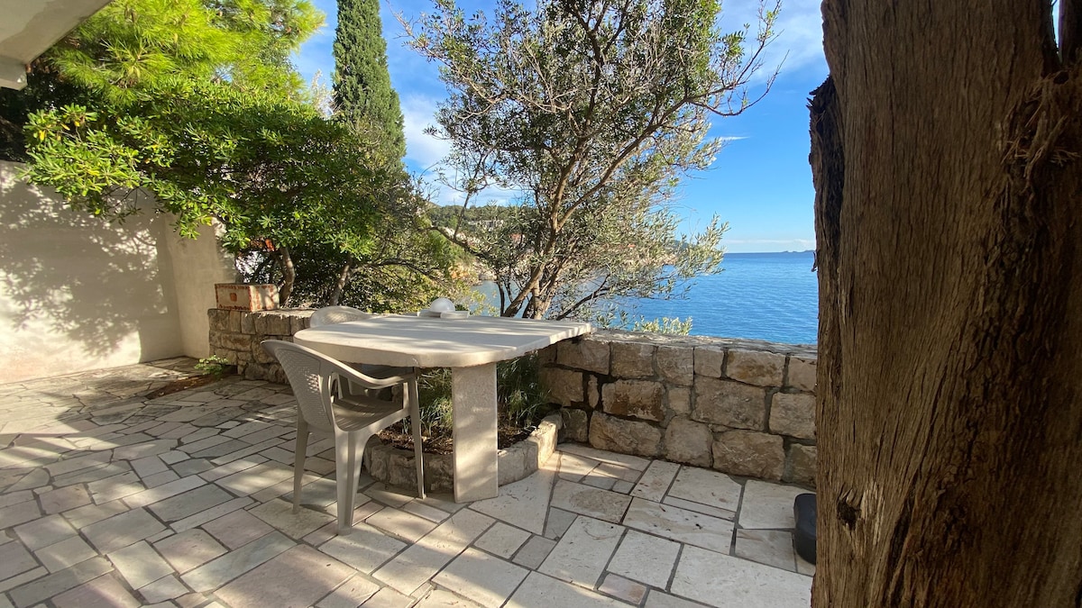A stone patio is shown beside the sea, equipped with a simple table and a plastic chair. The surrounding greenery offers natural shade, while the view of the calm water is visible in the background under a clear sky.