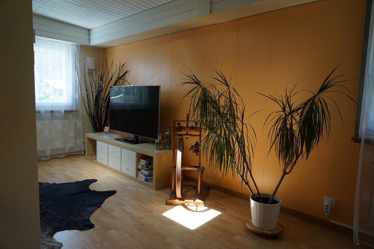 客厅配备55英寸电视（有线频道）