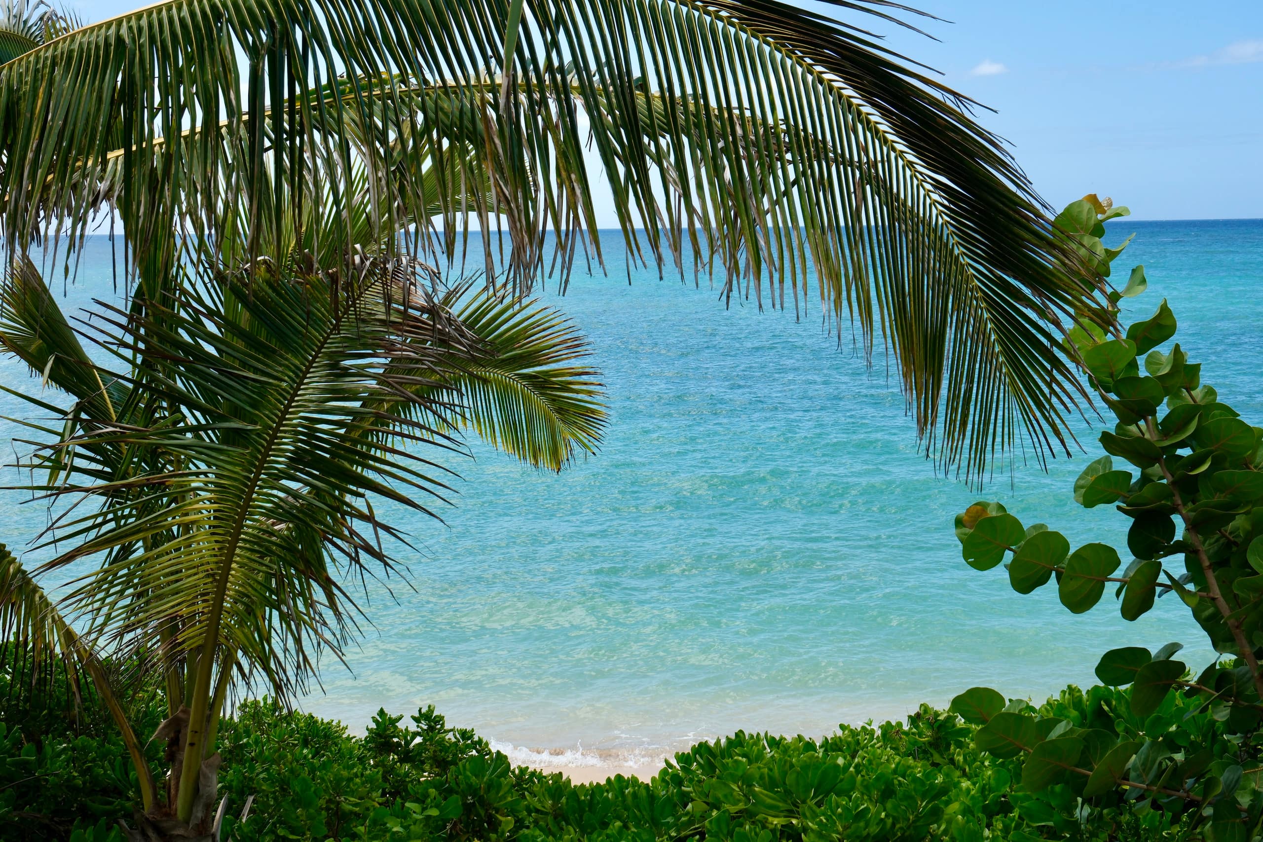 Ocean Views 2 Bedroom - 100 Foot Wave Getaways - Photo 9