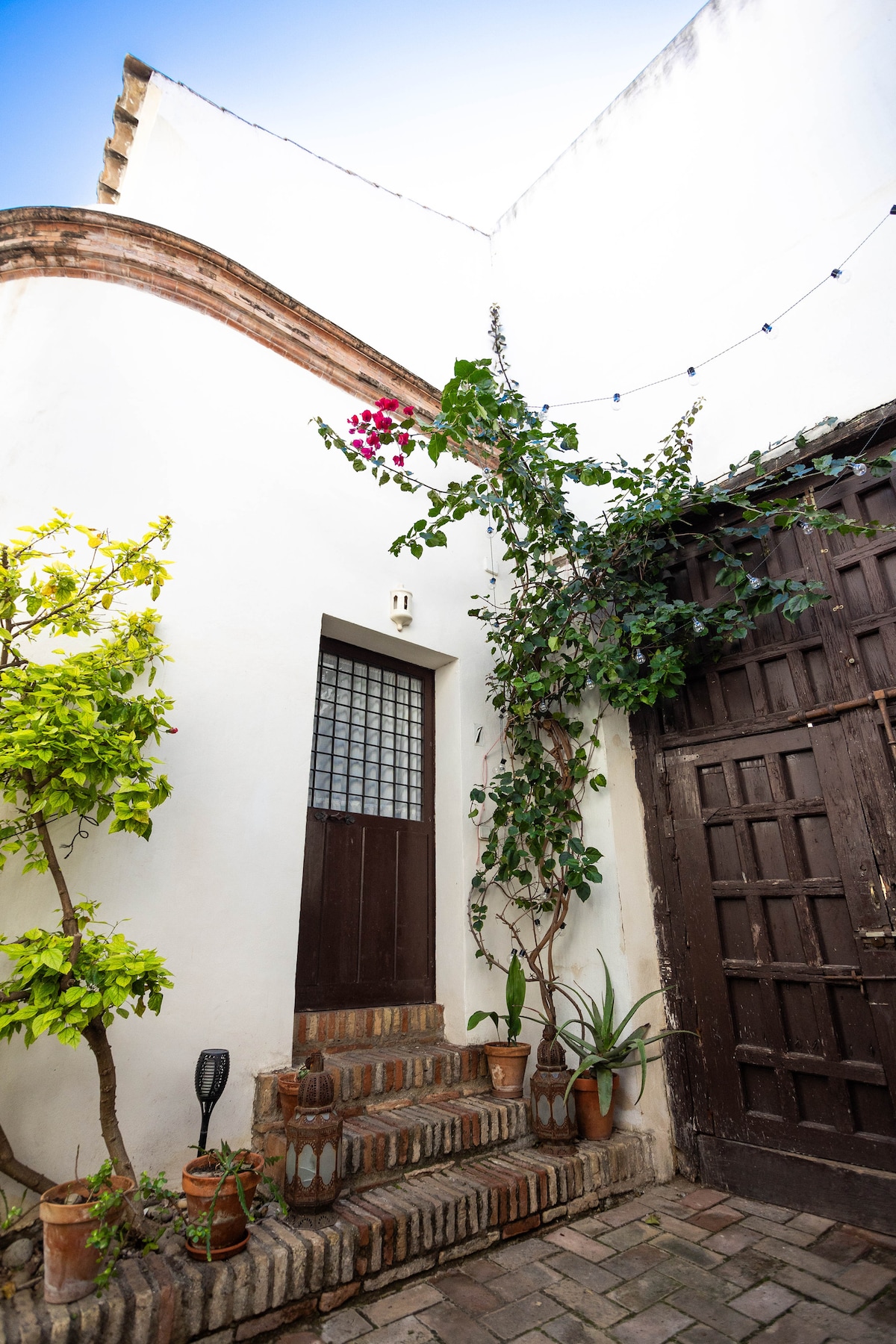 A charming exterior showcases a rustic entrance with a wooden door and glass panel. Lush green plants are positioned beside the door, adding a natural touch. The brick pathway leads softly to the entrance, while string lights add subtle illumination above.
