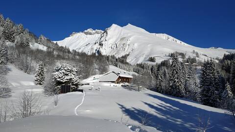 Off-grid mountain chalet with spa - 12 people