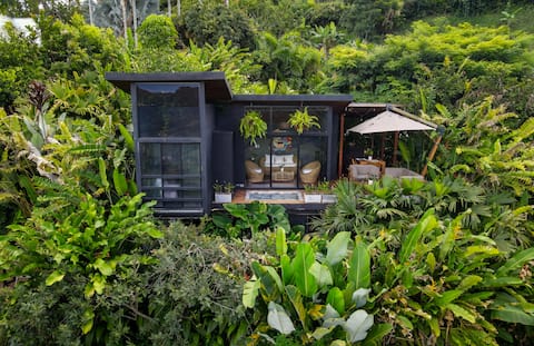 Cabin in Canyon + birds + river + cloud dance