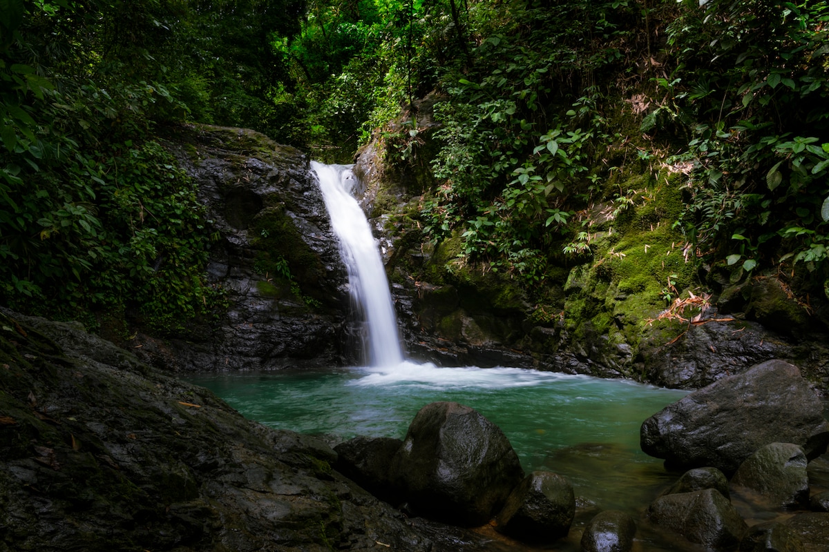 A serene waterfall cascades over rocks, creating a gentle flow into a tranquil pool surrounded by lush green foliage. The scene captures the natural beauty of the rainforest, with varied textures of smooth stones and vibrant vegetation, underscoring the peaceful atmosphere.