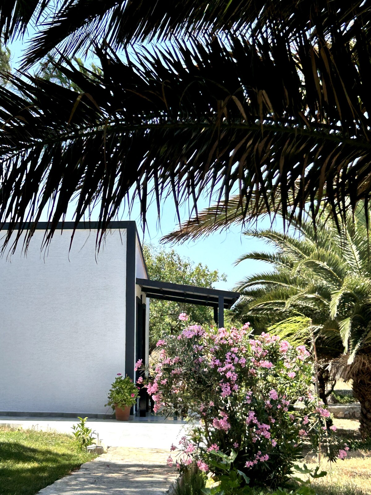A garden path leads to a white exterior wall of a house, framed by lush palm trees. Vibrant pink flowers create a colorful contrast against the greenery, providing a welcoming sense of nature surrounding the property.