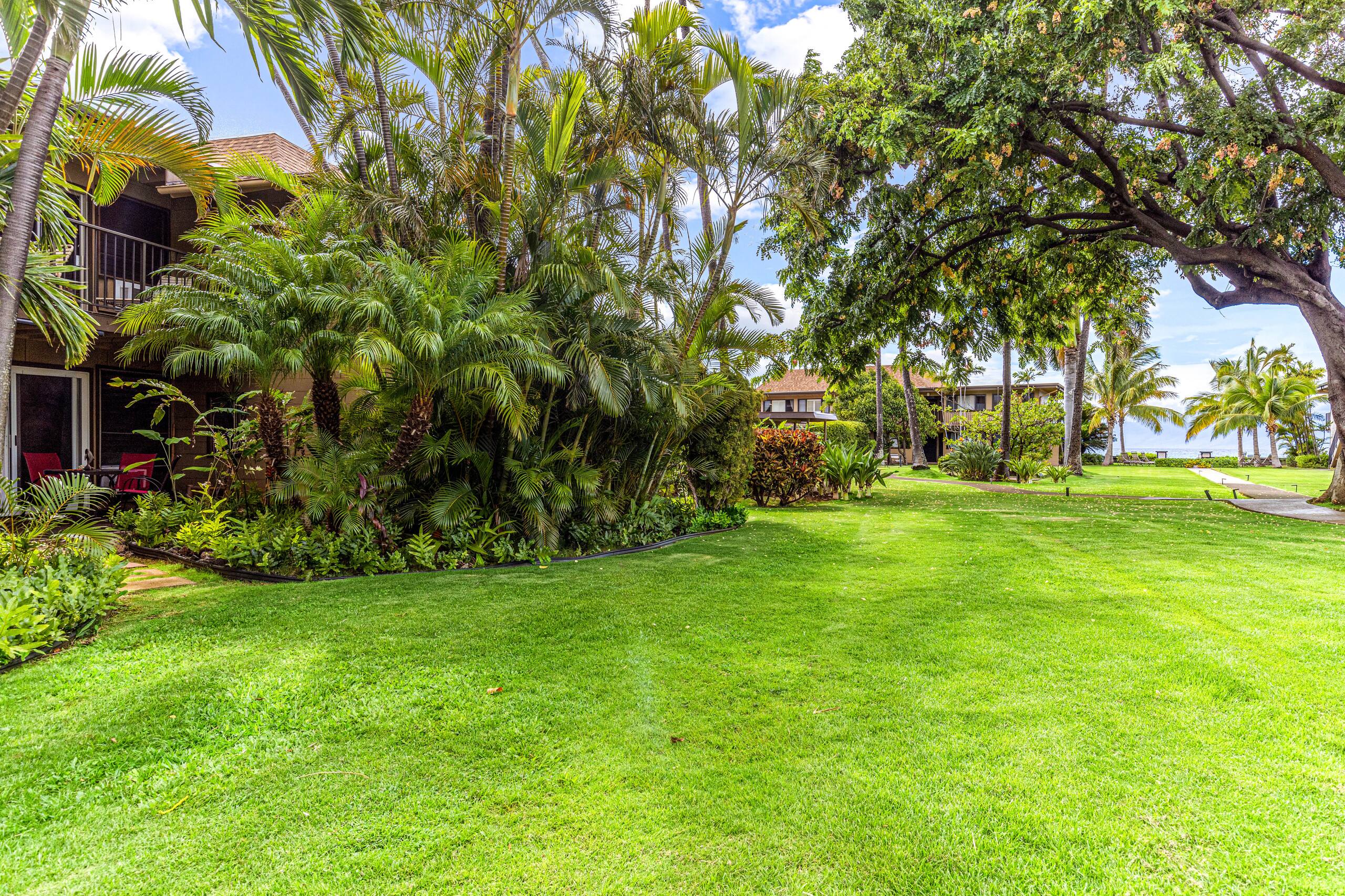Condo in Lahaina · ★4.67 · 1 bedroom · 2 beds · 1 bath - Image 68