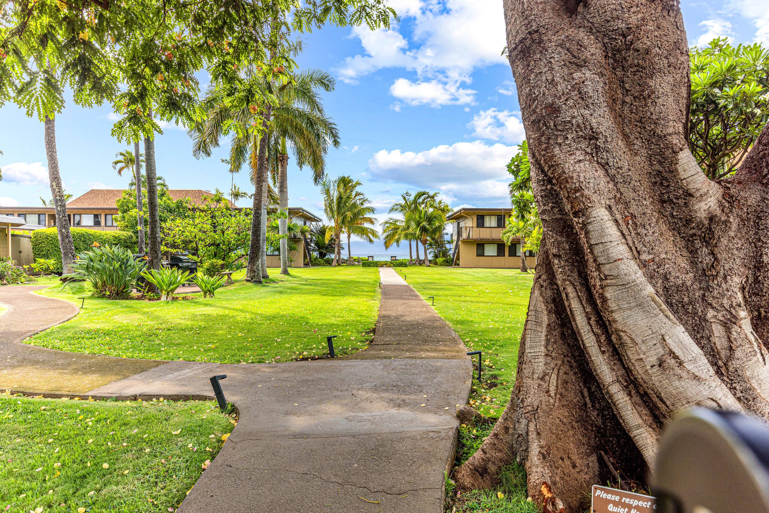 Condo in Lahaina · ★4.67 · 1 bedroom · 2 beds · 1 bath - Image 53