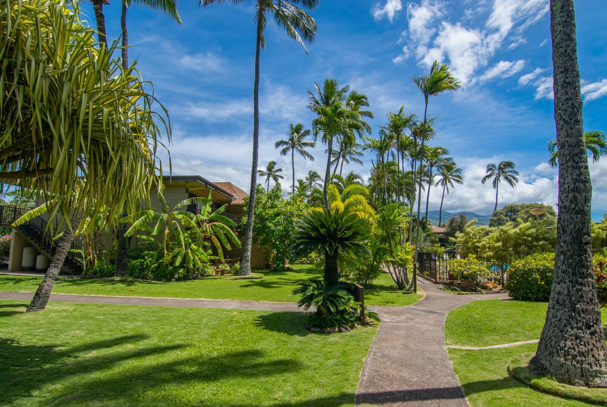 Condo in Lahaina · ★4.67 · 1 bedroom · 2 beds · 1 bath - Image 59