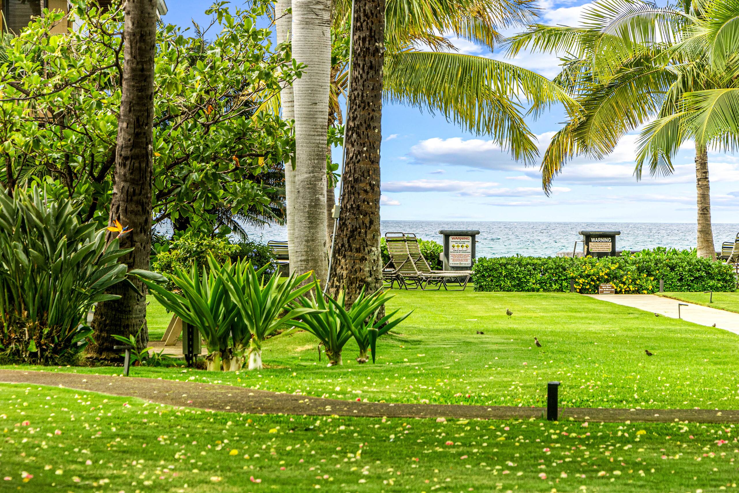 Condo in Lahaina · ★4.67 · 1 bedroom · 2 beds · 1 bath - Image 48