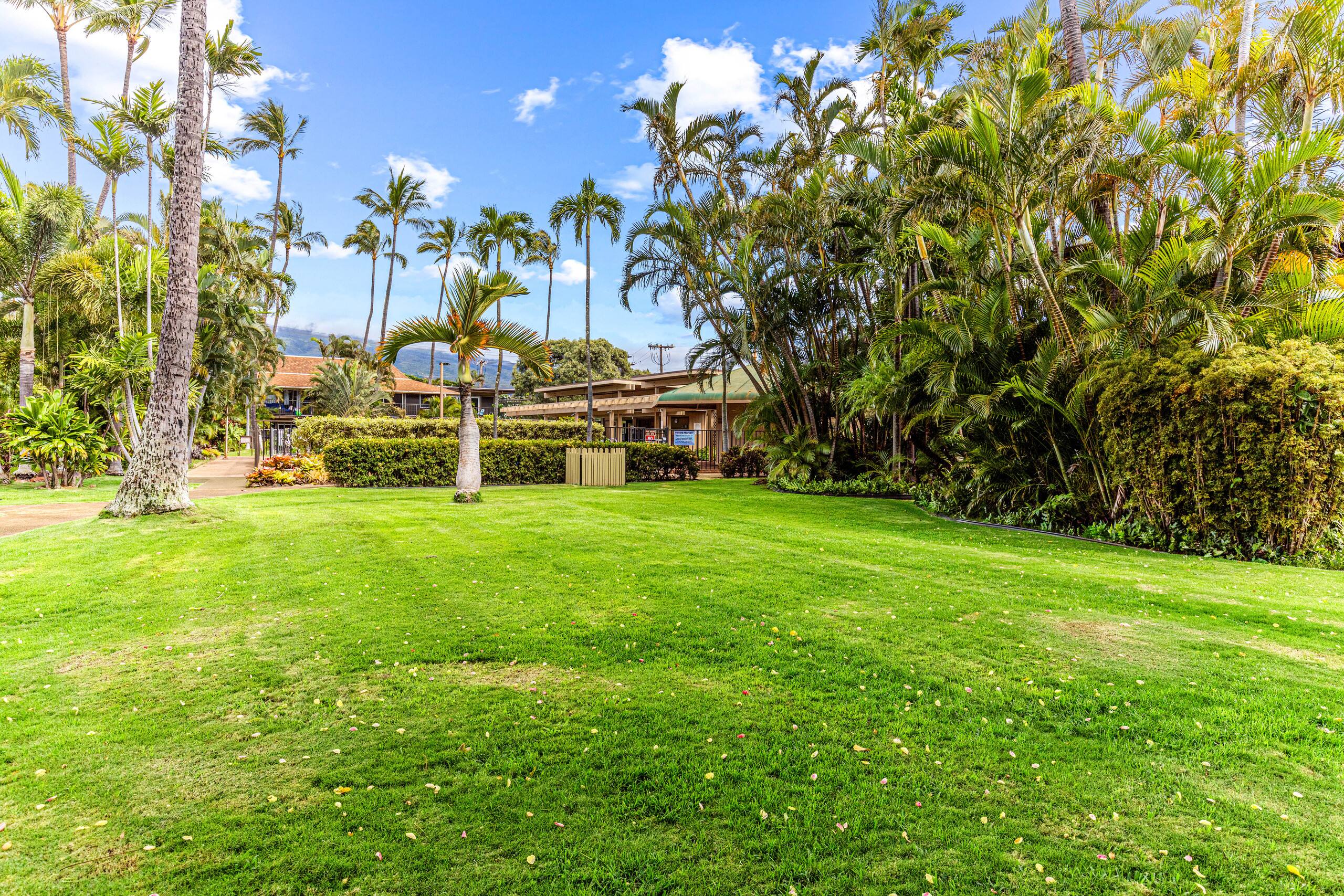 Condo in Lahaina · ★4.67 · 1 bedroom · 2 beds · 1 bath - Image 69