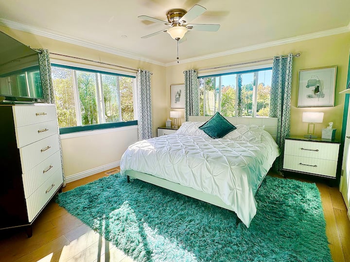 Master Bdrm #1 Nuovo materasso, tappeto, mobili; tende e tende oscuranti, con bagno completo e lavanderia; Samsung da 50"con Apple TV.