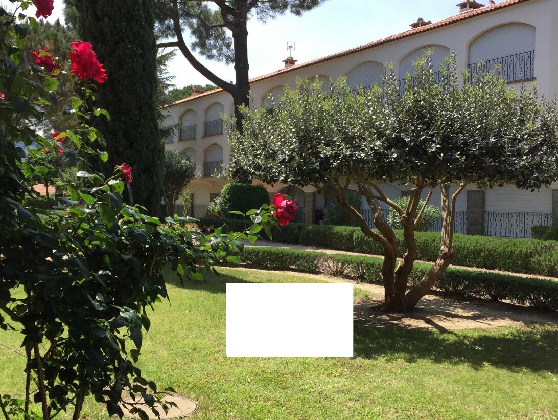 A landscaped garden is visible, featuring manicured green lawns and colorful rose bushes. A leafy tree provides shaded areas, contributing to the serene outdoor environment. A multi-level building with arched windows can be seen in the background, surrounded by lush vegetation.