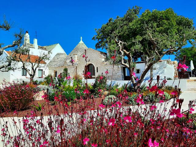 Spettacolare masseria di design con piscina gallery image 3