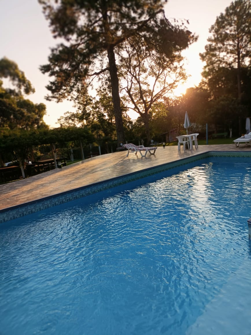 A serene pool area is surrounded by greenery and tall trees. Lounge chairs are placed nearby, offering a relaxing space to enjoy the outdoor setting. The water's surface reflects the warm light of the setting sun, enhancing the tranquil atmosphere.