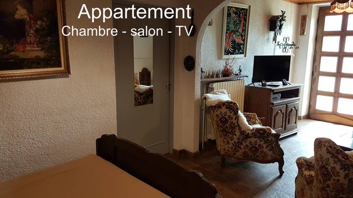 Bel Appartement Dans Un éCrin De Verdure - Saint-Dié-des-Vosges