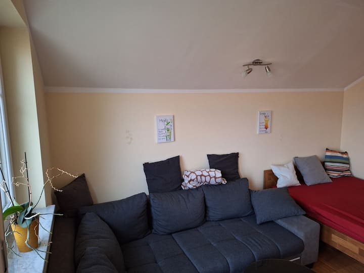 ห้องนั่งเล่นพร้อมเตียงโซฟาขนาด 90x200 ซม.