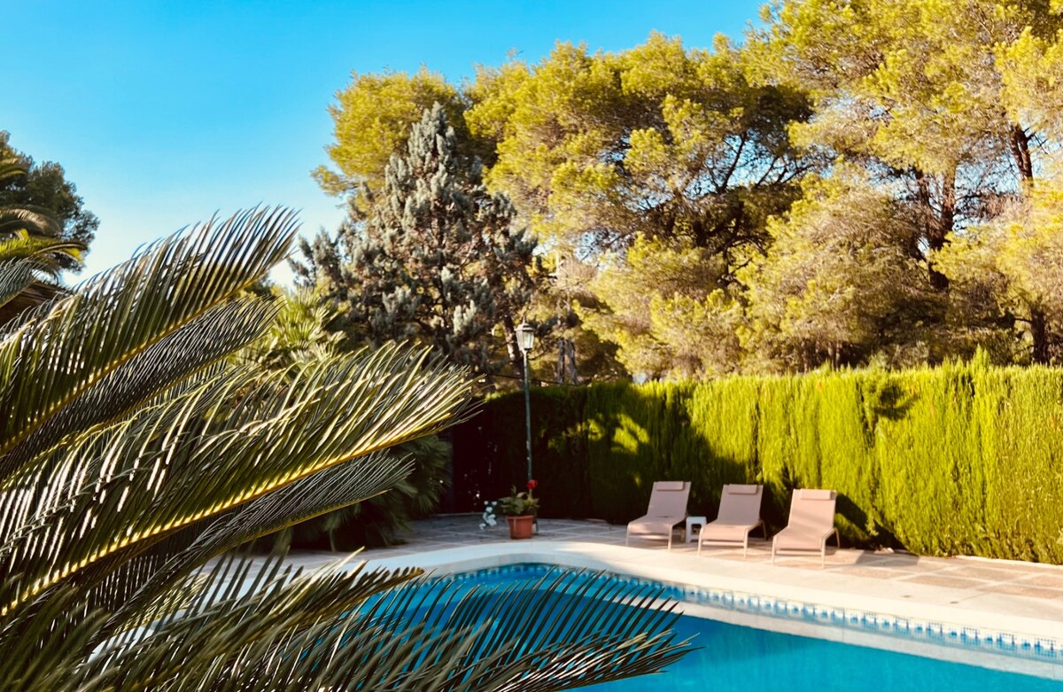 A refreshing swimming pool is framed by lush greenery, including tall trees and hedges. Two sun loungers are positioned by the poolside, inviting relaxation. The clear blue sky provides a serene backdrop, enhancing the private outdoor space.
