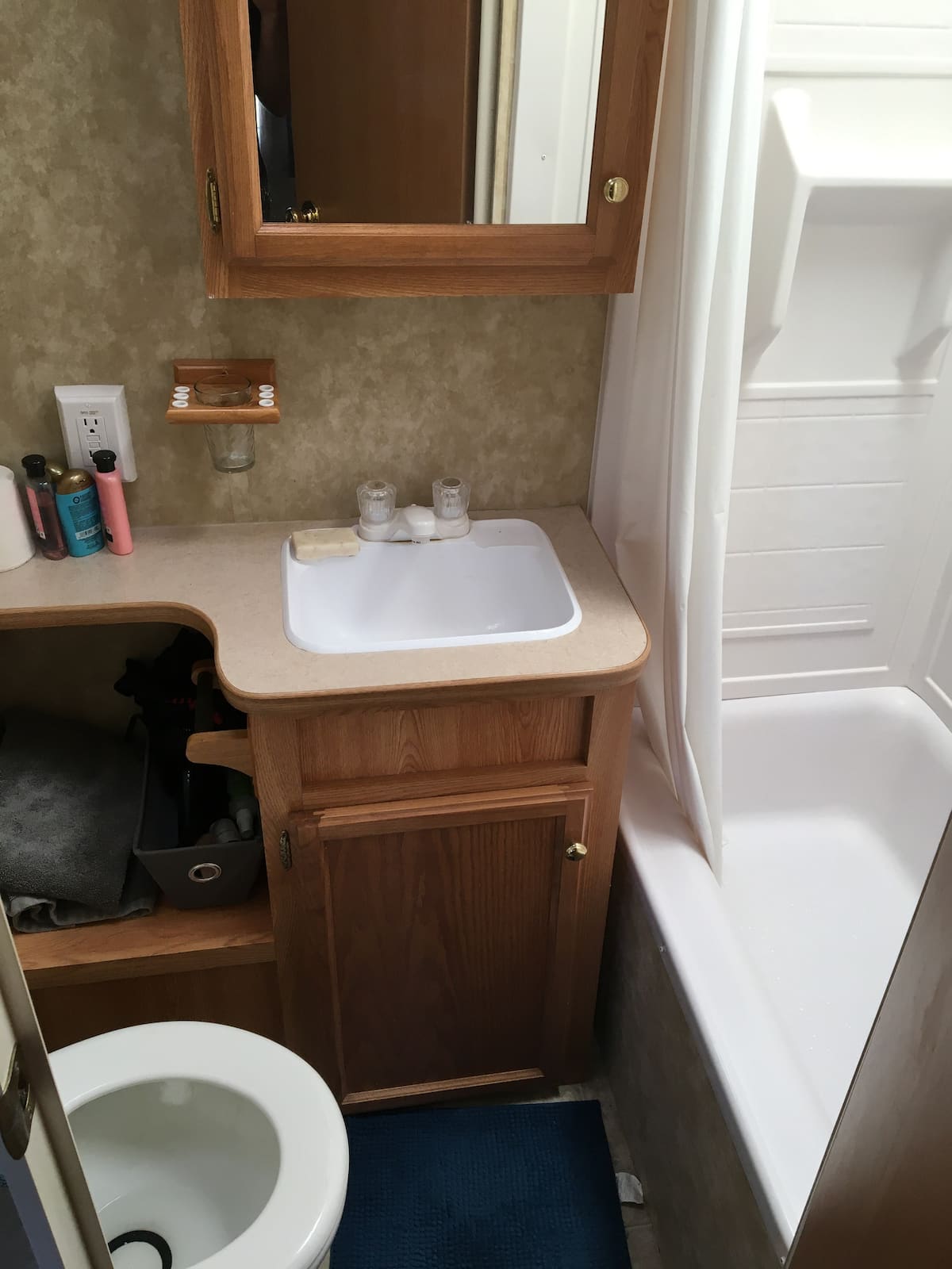 Bathroom vanity and toilet