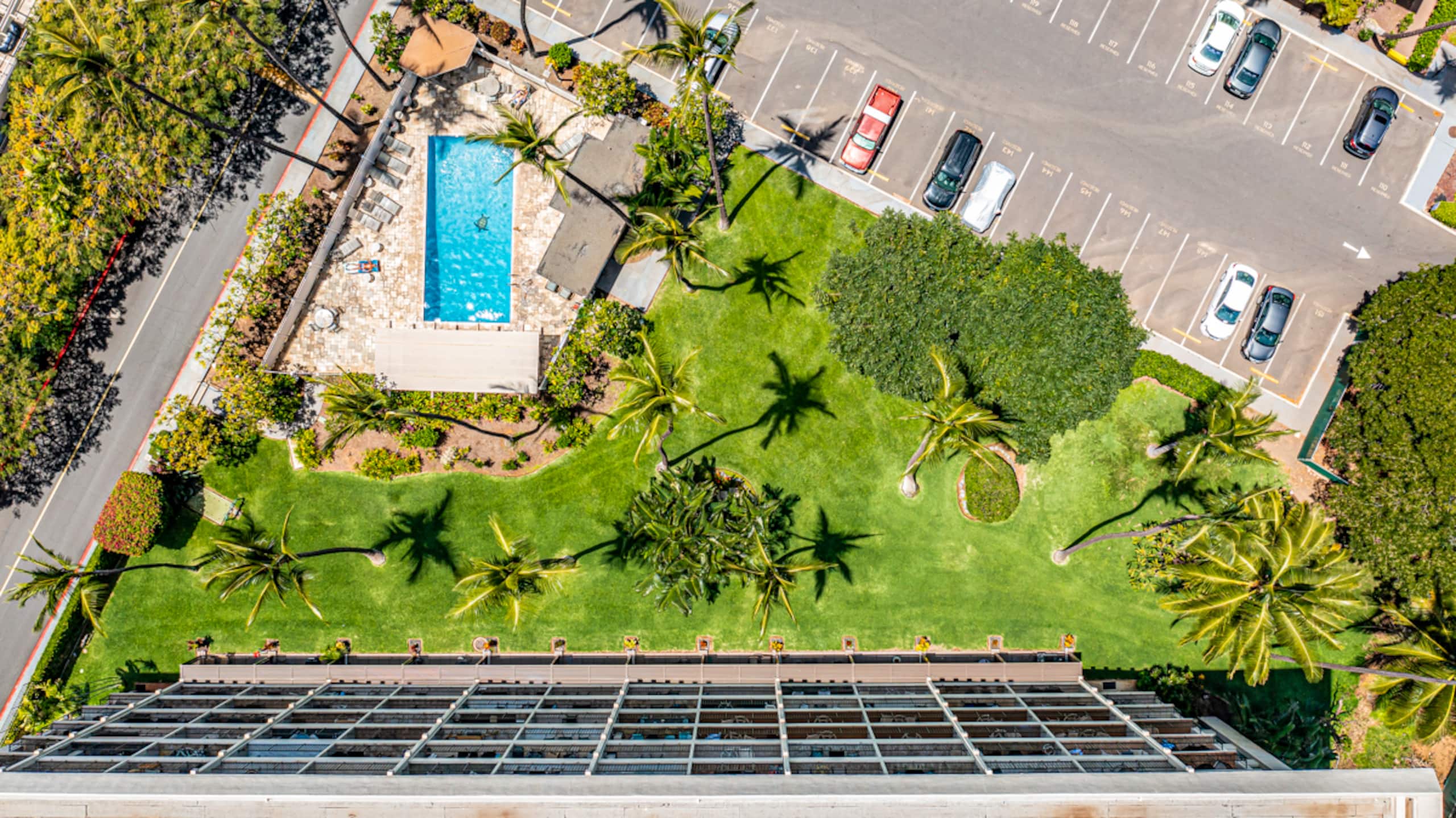 Condo in Kihei · ★4.97 · 1 bedroom · 2 beds · 1 bath - Image 38