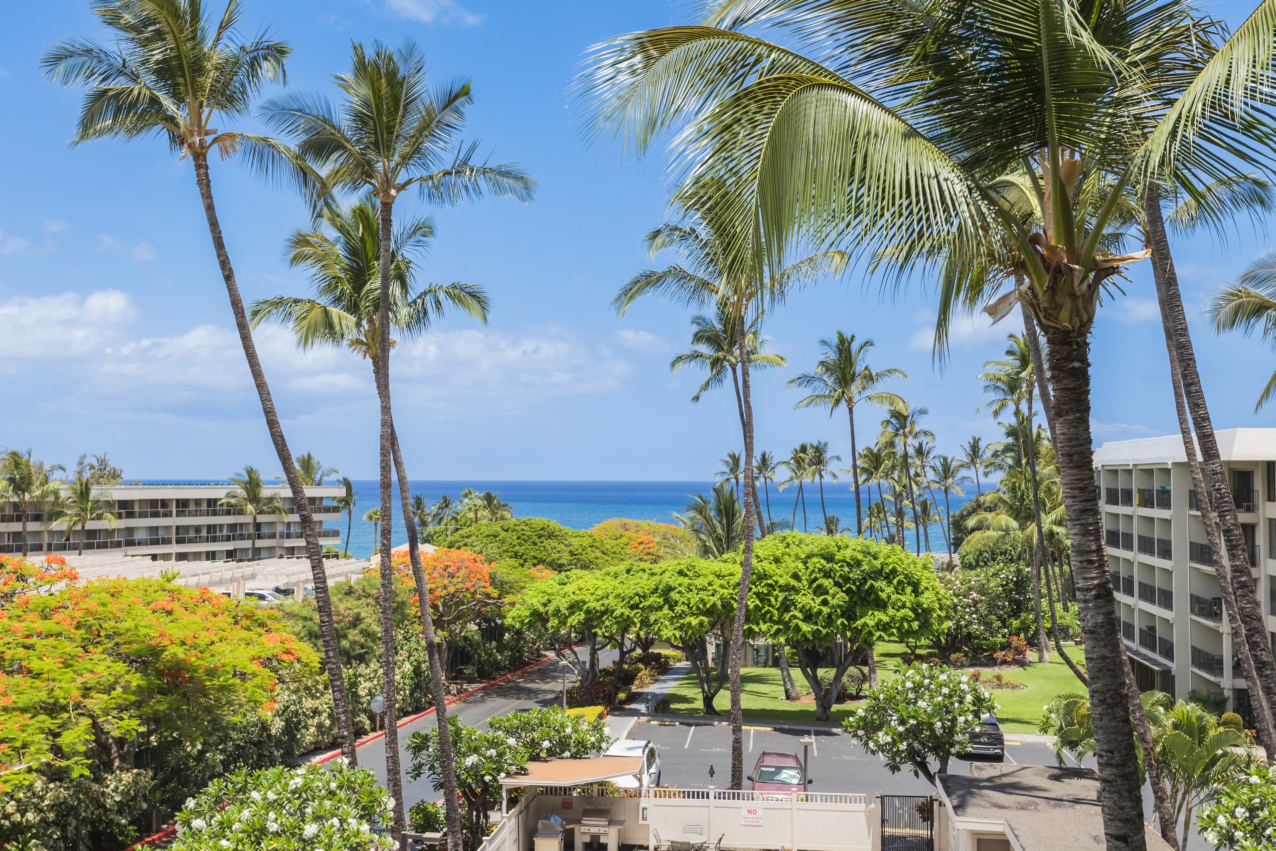 Condo in Kihei · ★4.97 · 1 bedroom · 2 beds · 1 bath - Image 29