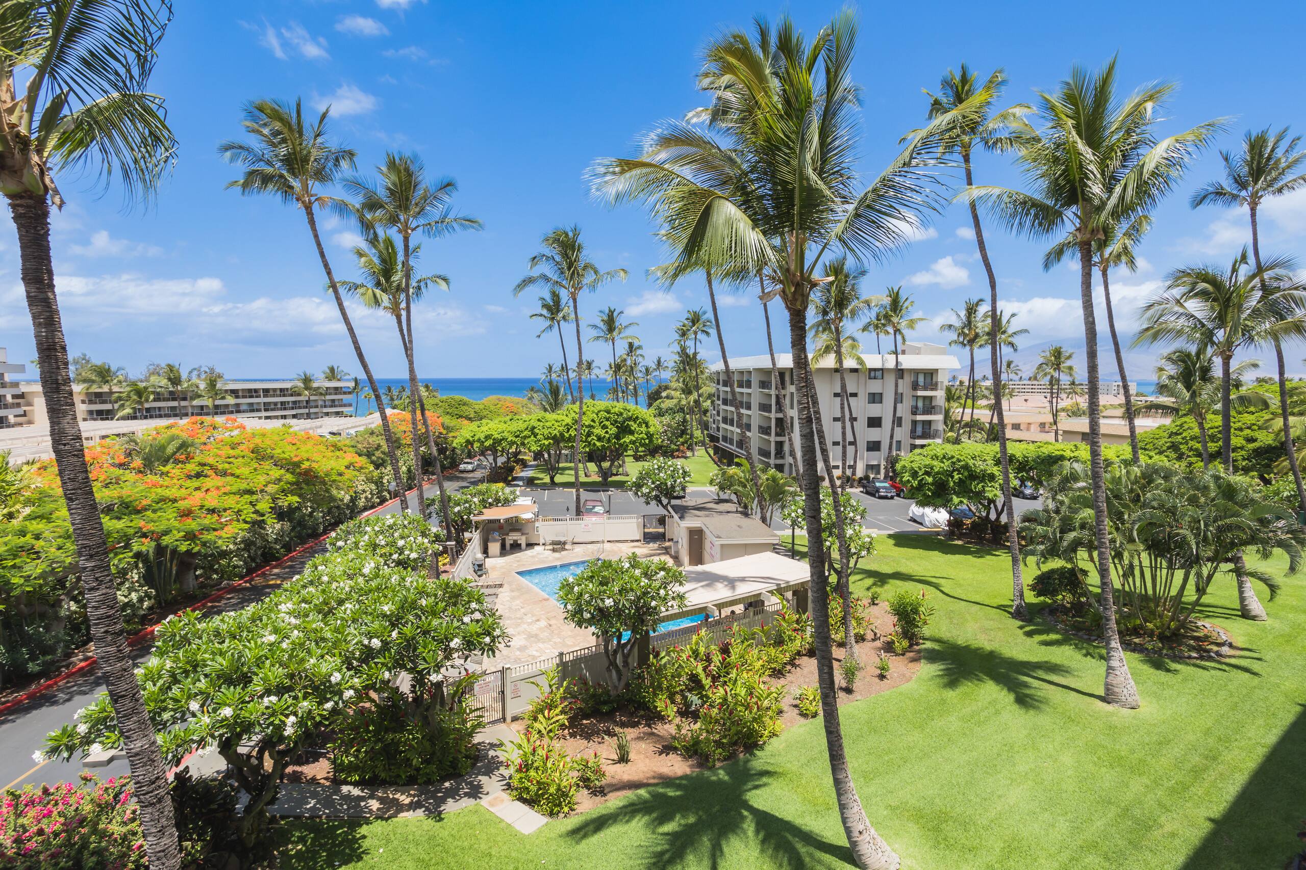 Condo in Kihei · ★4.97 · 1 bedroom · 2 beds · 1 bath - Image 30