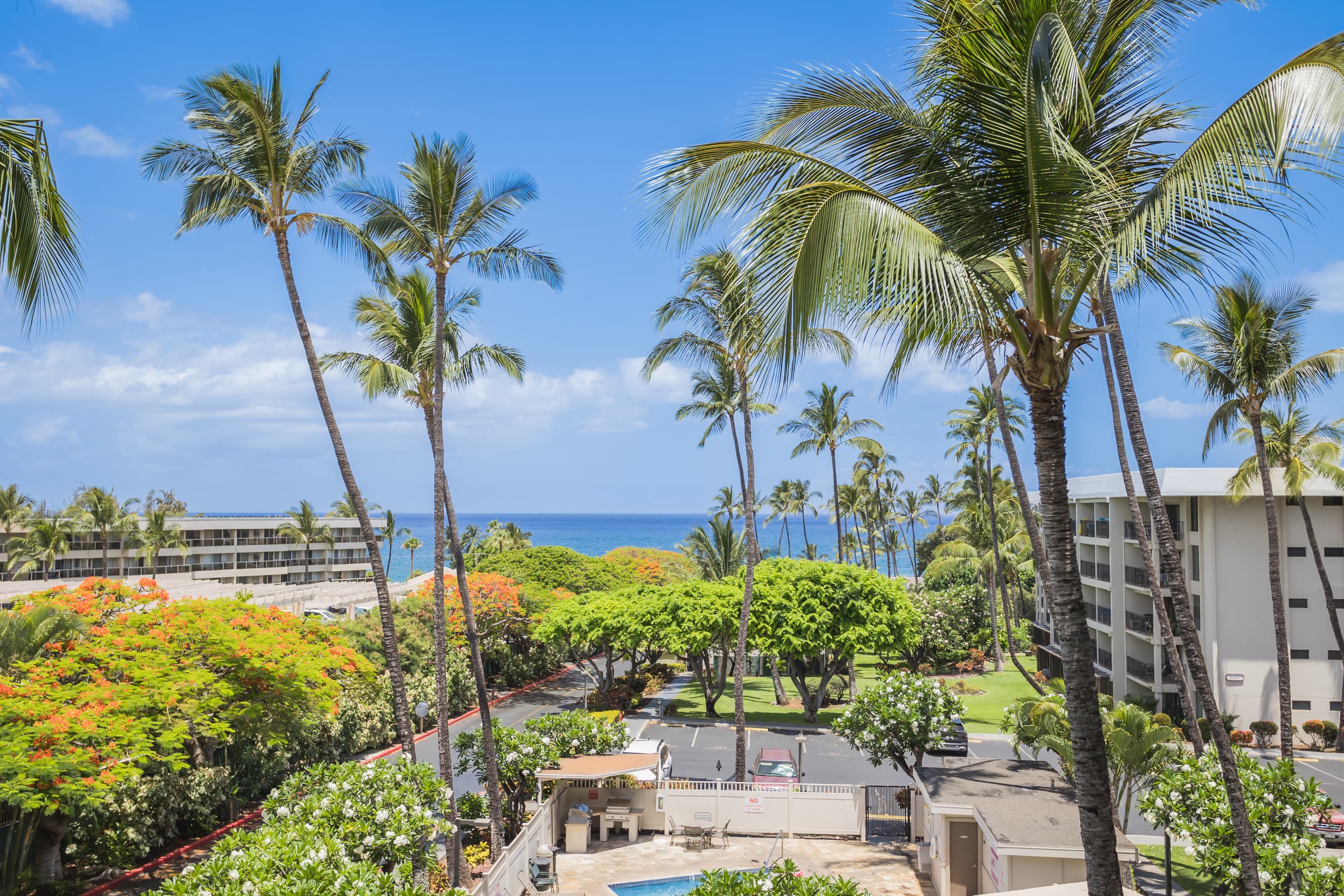 Condo in Kihei · ★4.97 · 1 bedroom · 2 beds · 1 bath - Image 28