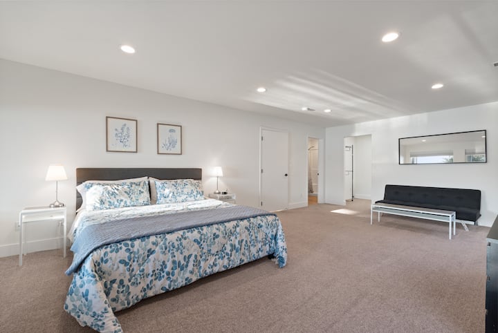 Huge Downstairs Master Bedroom