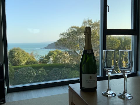 Top performing Airbnb: Falmouth - sea views, garden, beach. Parking in Falmouth