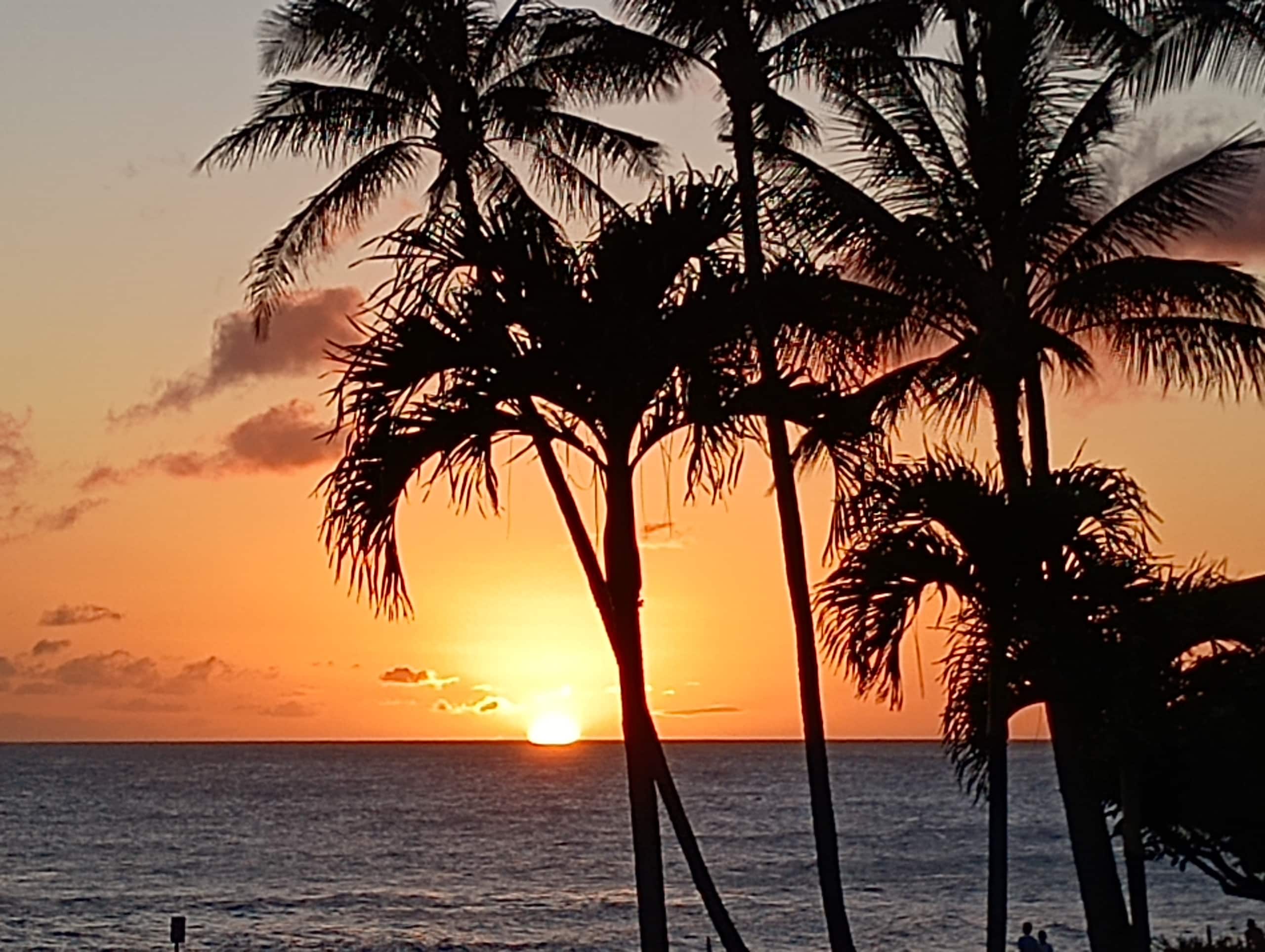 Condo in Koloa · ★4.9 · 1 bedroom · 2 beds · 2 baths - Photo 18