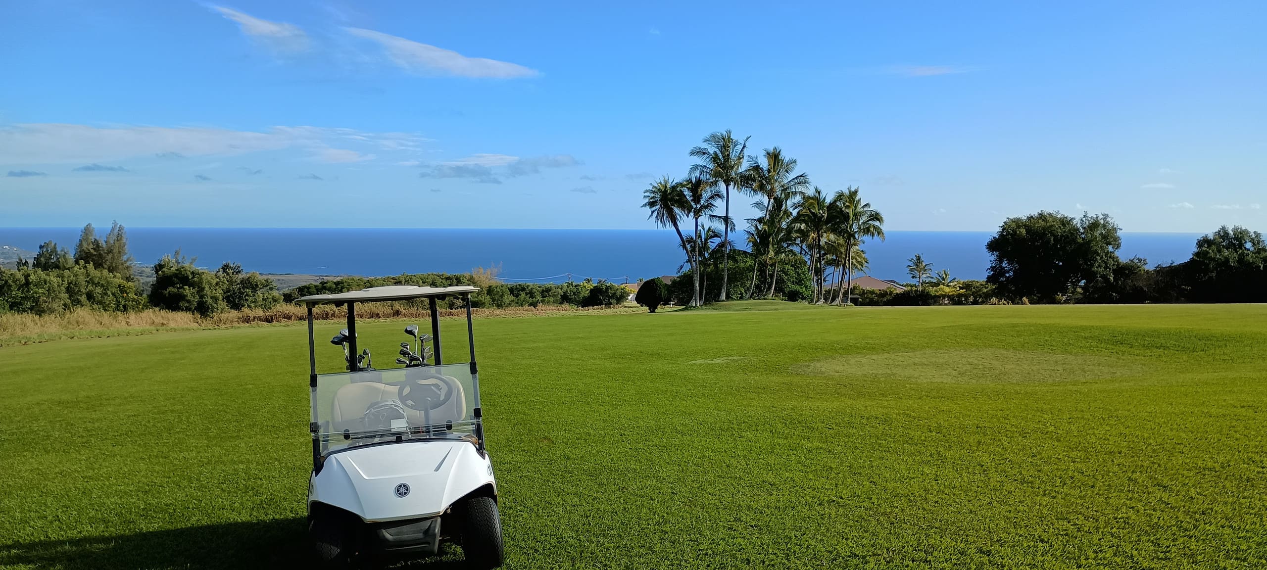 Condo in Koloa · ★4.9 · 1 bedroom · 2 beds · 2 baths - Photo 32